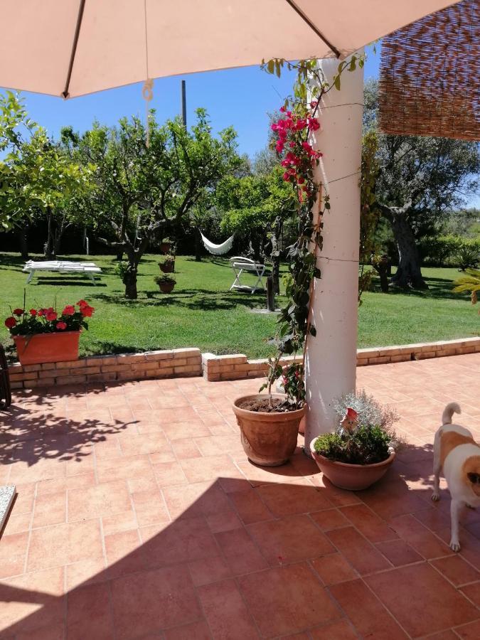 La Collina Del Riccio Apartment Ortona Ngoại thất bức ảnh