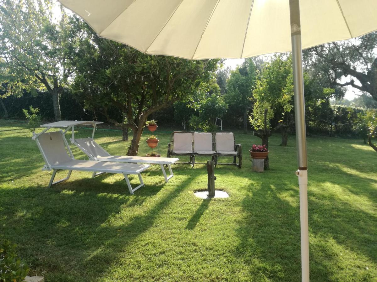 La Collina Del Riccio Apartment Ortona Ngoại thất bức ảnh
