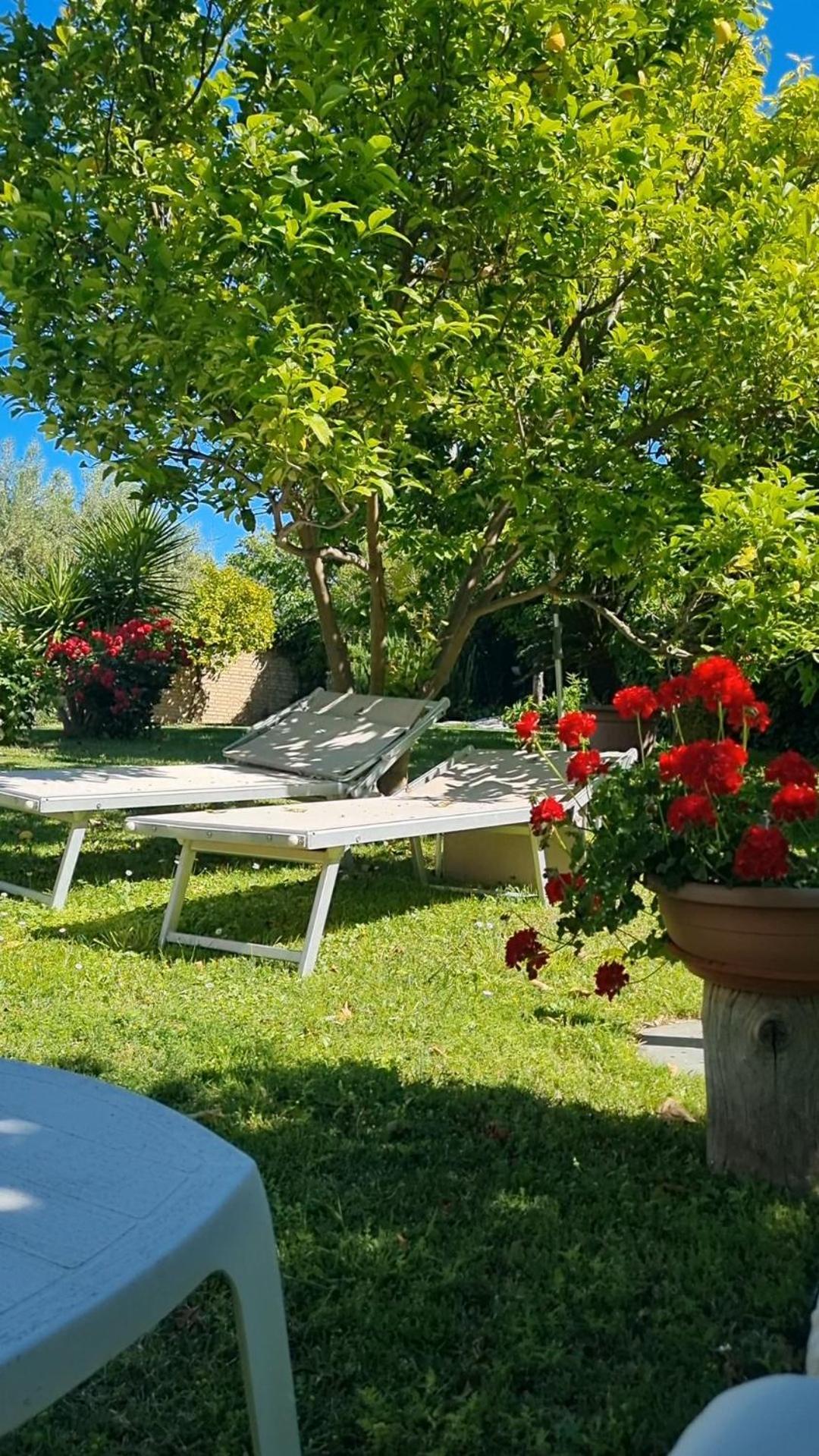 La Collina Del Riccio Apartment Ortona Ngoại thất bức ảnh