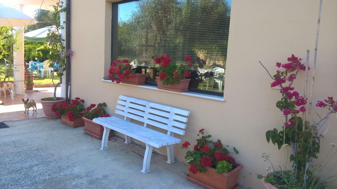 La Collina Del Riccio Apartment Ortona Ngoại thất bức ảnh
