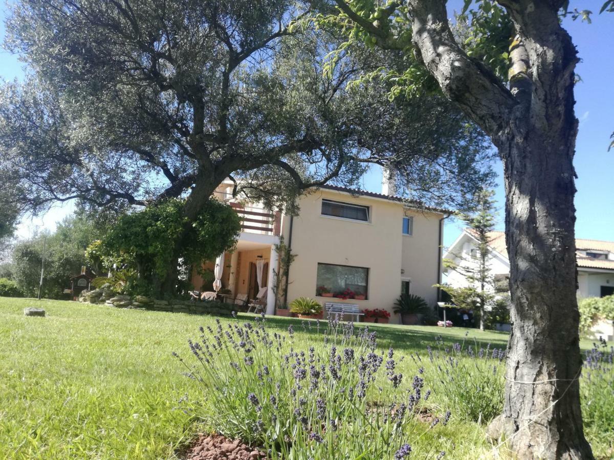 La Collina Del Riccio Apartment Ortona Ngoại thất bức ảnh