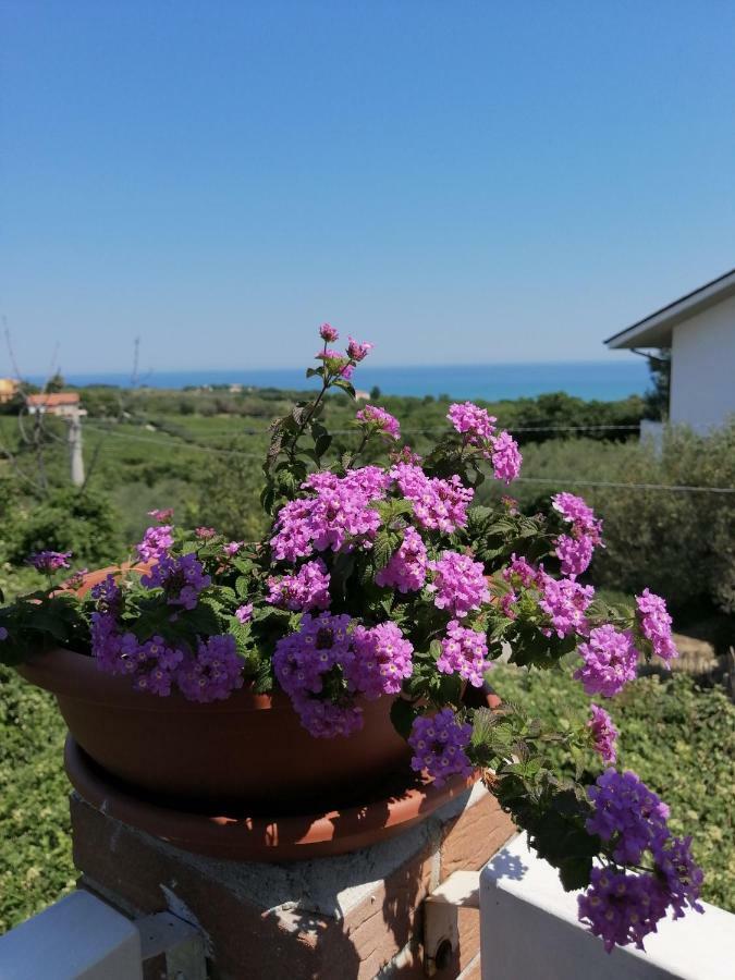 La Collina Del Riccio Apartment Ortona Ngoại thất bức ảnh