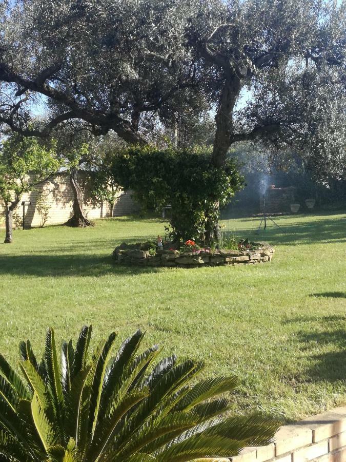 La Collina Del Riccio Apartment Ortona Ngoại thất bức ảnh